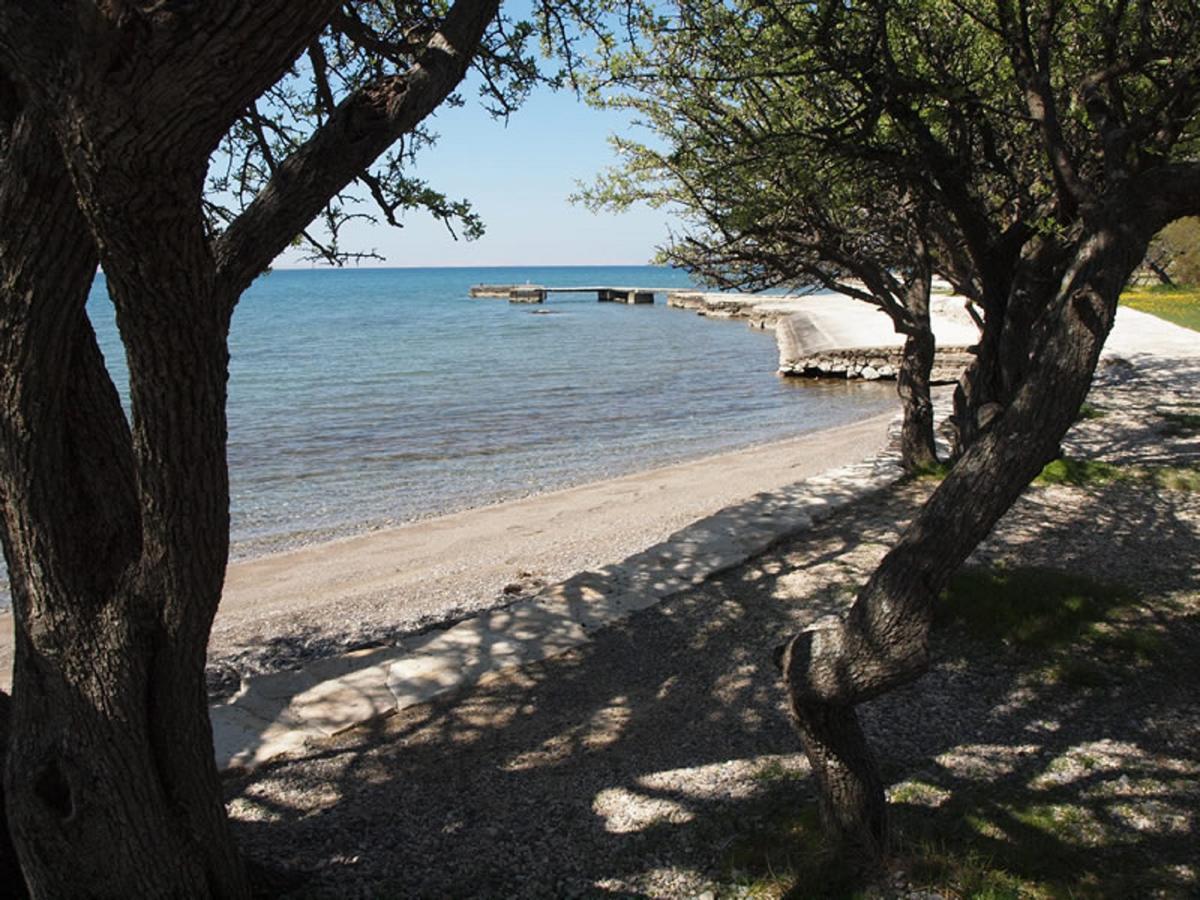 Apartments & Room Masa Starigrad Paklenica Exteriér fotografie